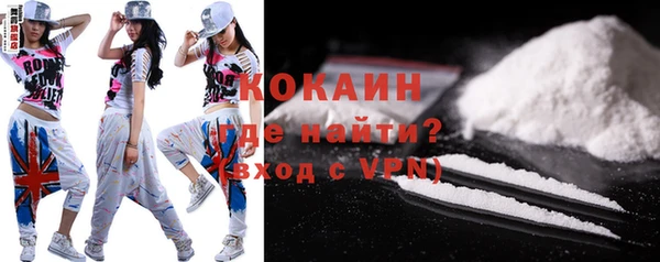 индика Бородино