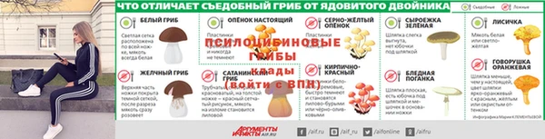 jwh Верея