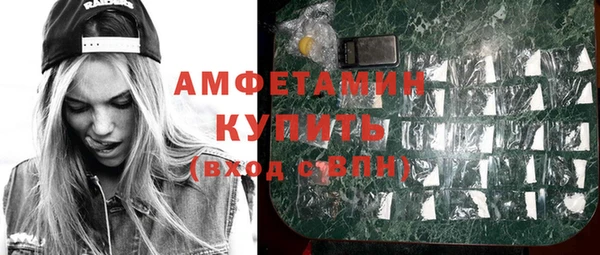 индика Бородино