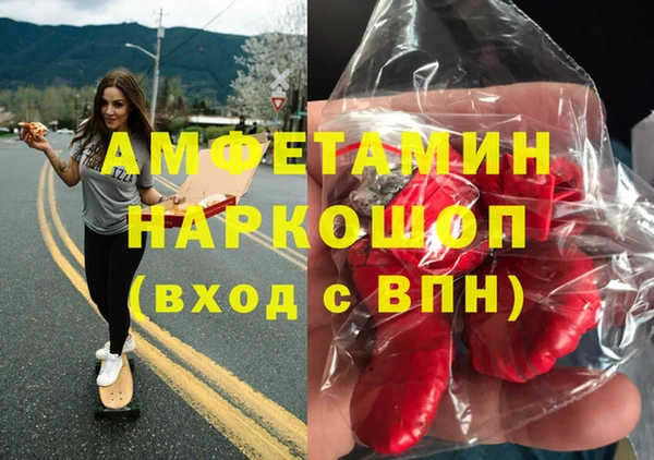 индика Бородино