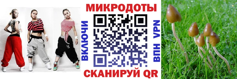 как найти закладки  Наро-Фоминск  Галлюциногенные грибы Magic Shrooms 